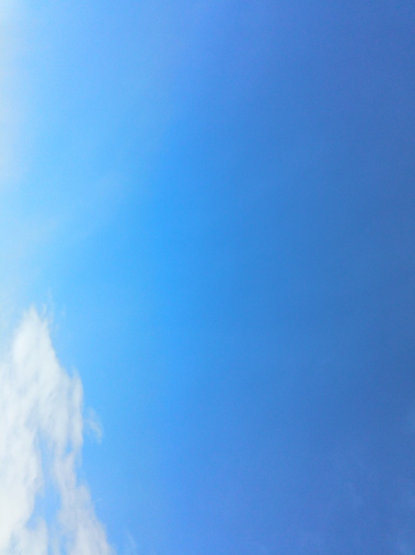 DSC_1299.JPG