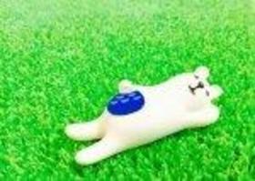 T8GOF7WD.jpgのサムネイル画像