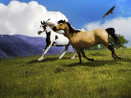 lgf01a201305242000.jpgのサムネイル画像のサムネイル画像