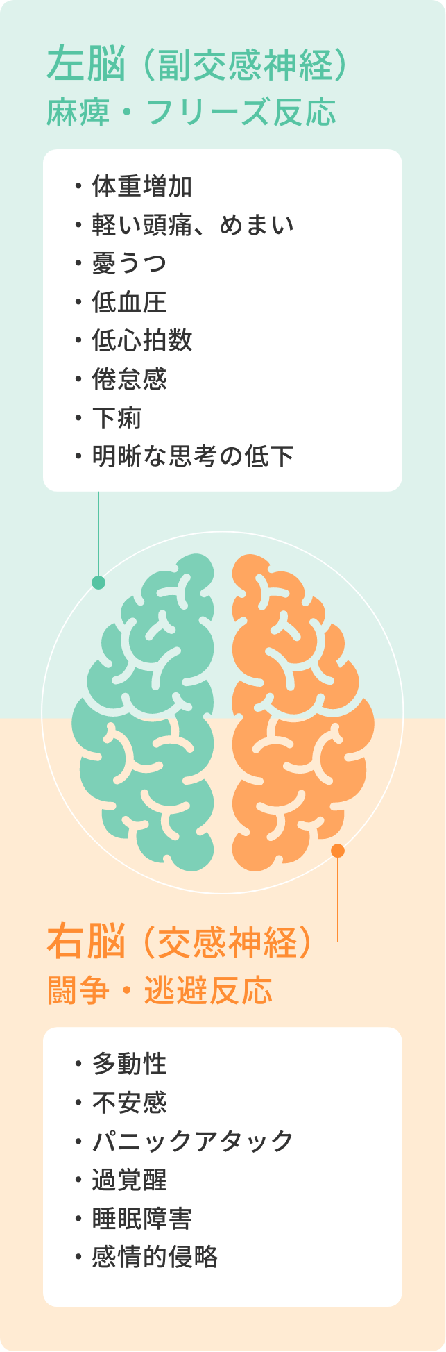 右脳・左脳の働き